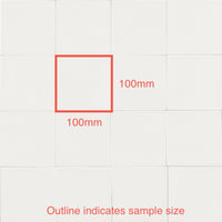 100x100 Lorenzo Bianco Matt Tile
