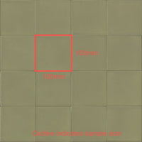 100x100 Lorenzo Salvia Matt Tile