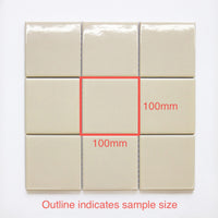 100x100 Stefano Organic Bone Gloss Tile