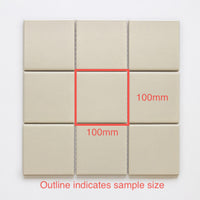 100x100 Stefano Organic Bone Matt Tile
