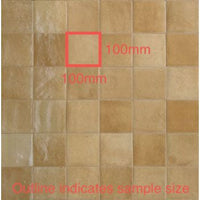 100x100 Elena Cammello Gloss Tile