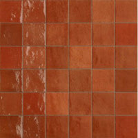 100x100 Elena Corallo Gloss Tile
