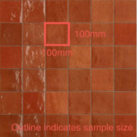 100x100 Elena Corallo Gloss Tile