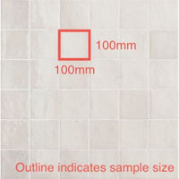 100x100 Elena Gesso Gloss Tile