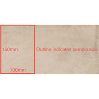 150x300 Pietro Avorio Matt Tile