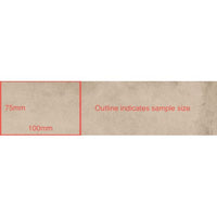 75x300 Pietro Avorio Matt Tile