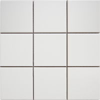 100x100 Stella White Matt Tile