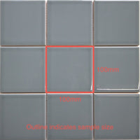 100x100 Stella Elephant Grey Gloss Tile