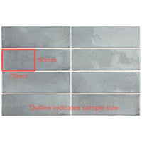 50x150 Giulia Blue Grass Gloss Tile