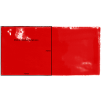 75x150 Andrea Rojo Gloss Tile