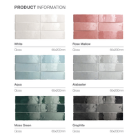 65x200 Maria Graphite Gloss Tile